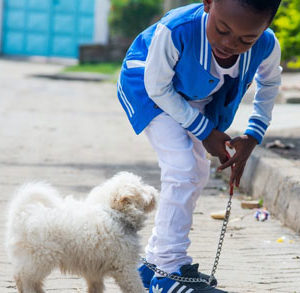 Boy and Small dog